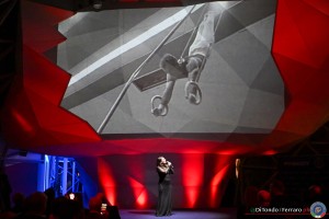 fgi divise freddy lanterna ph di tondo   ferraro 2382